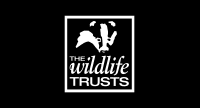 The Wildlife Trusts copywriting by Leif Kendall